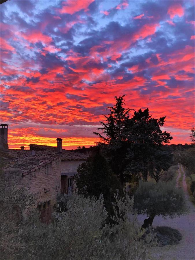 Mas De La Rivoire B&B Villevieille Εξωτερικό φωτογραφία